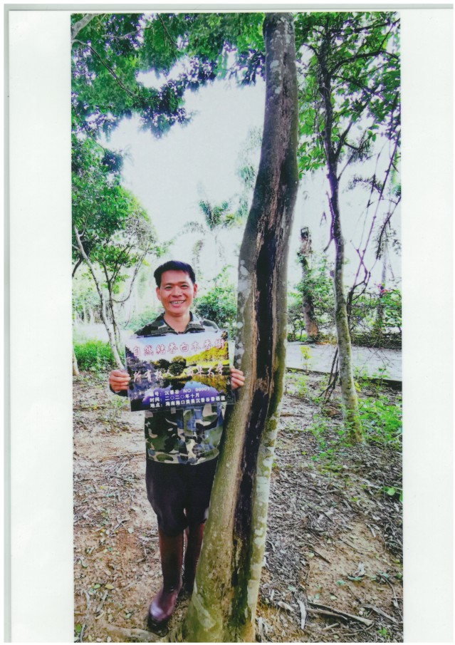 30 凌巧 自然结香白木香树所有权（编号：沉香谷NO00001）